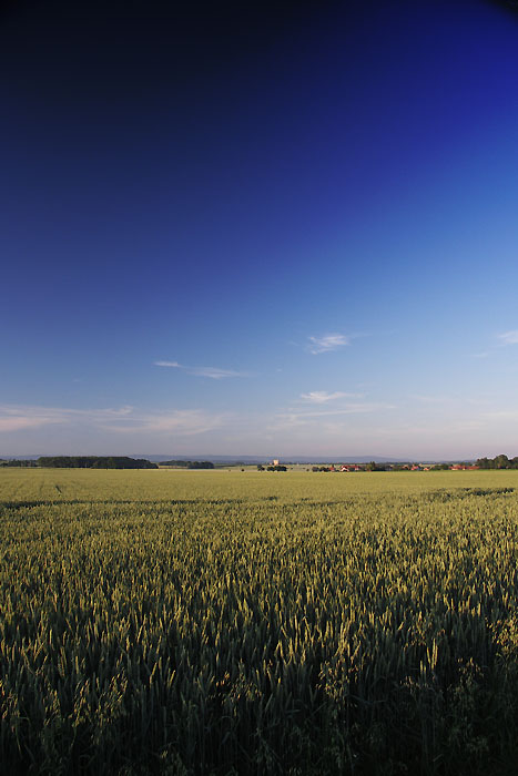 Biskupice