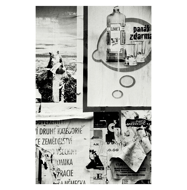 panák DRUHÉ KATEGORIE zdarma