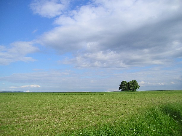 Solitér