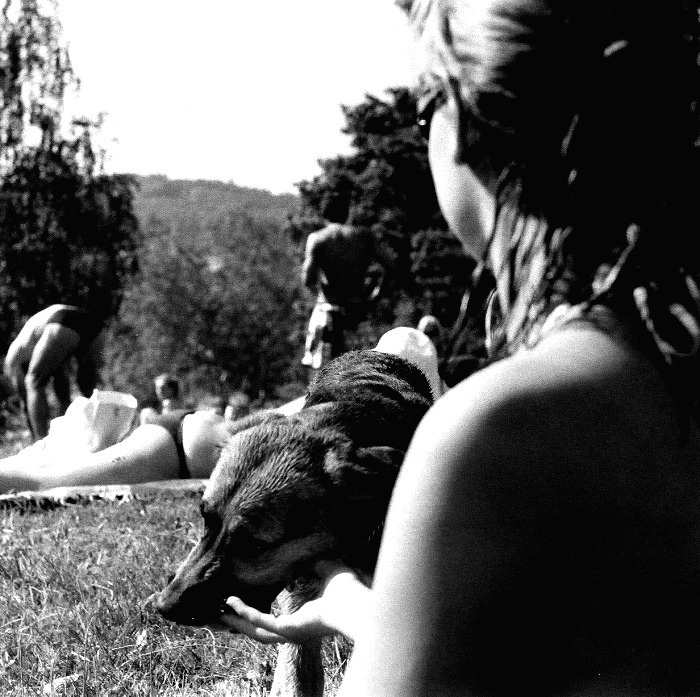 tak která prdel to bude?