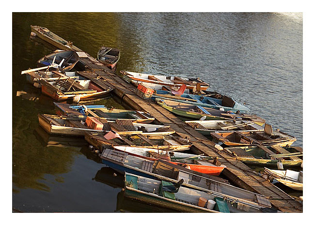 Flotila