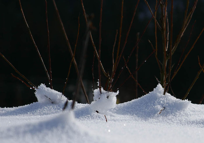 winter