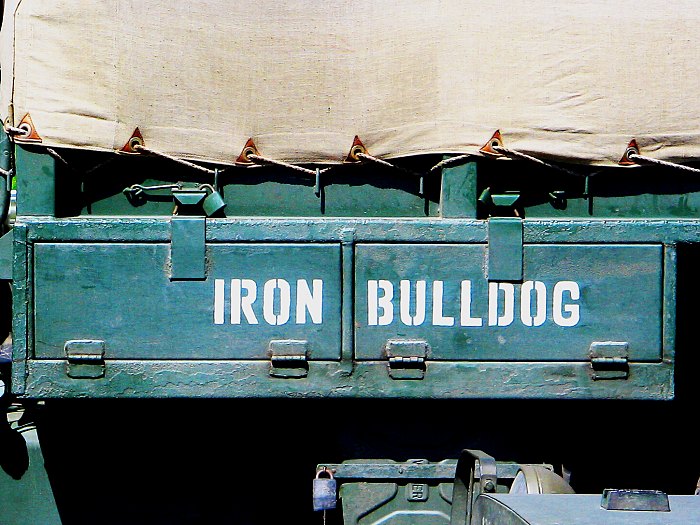 <b><u>IRON BULLDOG</u></b>