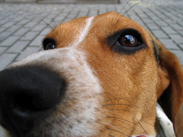 FUJ to není lumpík, to je foťák:-)