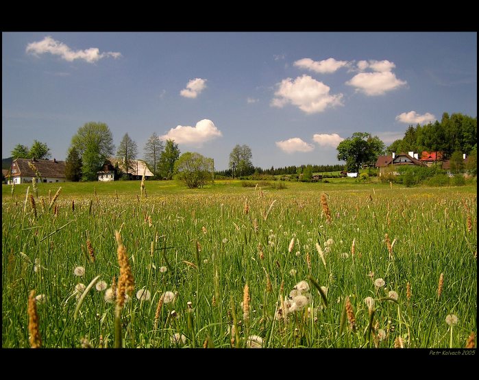.. Lyrická louka ..