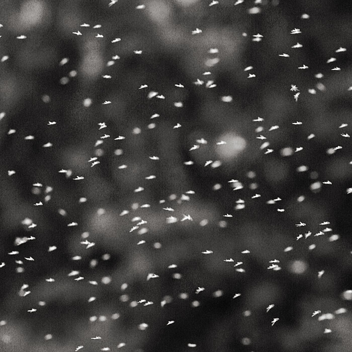 .:...:..:.....:....::....