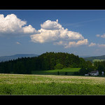 Na samotě u lesa ...