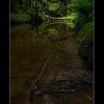 Na návštěvě v třetihorách I