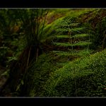 Na návštěvě v třetihorách II