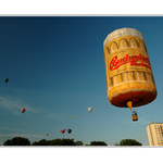 <B><U> ... smäd ... </B></U>