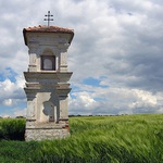 <b>Muka v ječmeni I.</b>