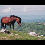 Stará Planina