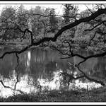 ..jezero temné,břehů stinných..