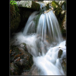 A svoji melodii stále zpívá