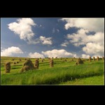 Sušení sena na Oravské Maguře