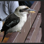 Hlad je zlý kamarát...