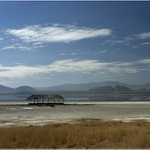 Jezero Elmenteita, Keňa