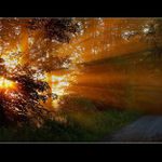 Poslední foto ze série "nedělní ráno"