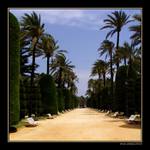 Cádiz IV. - park