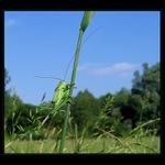 ještě kousek a jsem nahoře ...