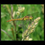 příprava k odletu ...