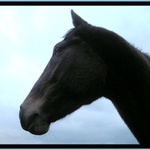 Tam je má minulost...