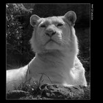 <i>..::</i>&nbsp;Trošku se mu narovnám, když mě fotí&nbsp;<i>::..</i><br>