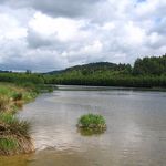 Klidná