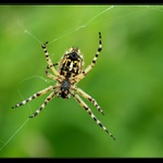 já to snad nerozmotám