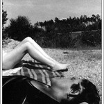 u rybníka aneb každá správná fotka má mít hlavu i patu...