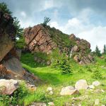 Nová zeleň v Krušných horách.