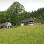 Paseky
