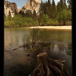 Yosemite Park
