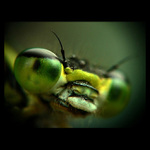 ...kuk 2...