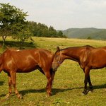 jen se trochu podrbu...