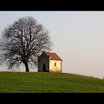 Rozárka