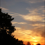 Sluníčko je někdy děsně rychlé