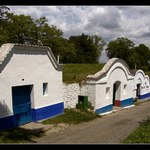 Vinné sklípky