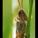 ..jen zamával a byl pryč :(..