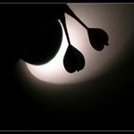 ...D O U b L E ...
