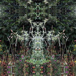 Zátišie na okraji poľa