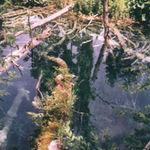 hladina