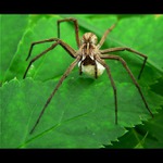 S potomky je dřina...