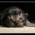 Jsem ještě malej,ale budu roztomilej doufám.