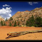 Zion NP, Utah