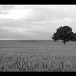 <b>.:Život uprostřed ničeho:.</b>