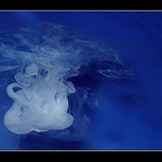 <b>.:Mléčná medúza:.</b>