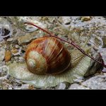 <B>POTOPÁÁÁ - PANIKÁÁÁ</B>