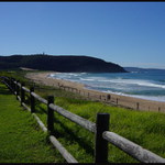 Palm Beach v zime - Sydney