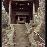 Dřevo silnější kamene